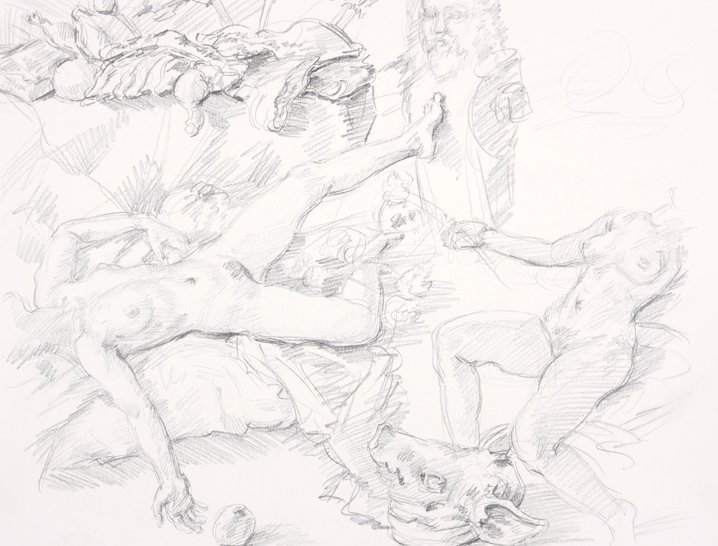 untitled; graphite on paper, 35 x 45 cm, 2010